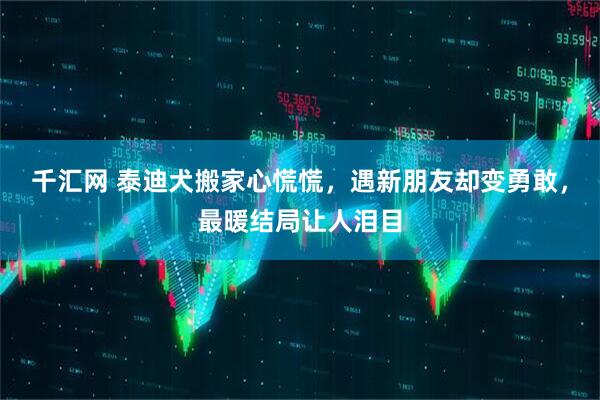 千汇网 泰迪犬搬家心慌慌，遇新朋友却变勇敢，最暖结局让人泪目