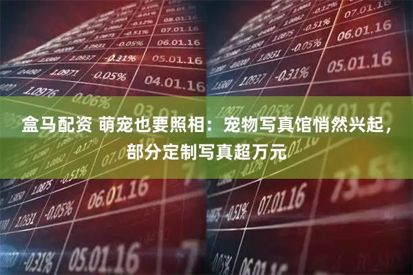 盒马配资 萌宠也要照相：宠物写真馆悄然兴起，部分定制写真超万元