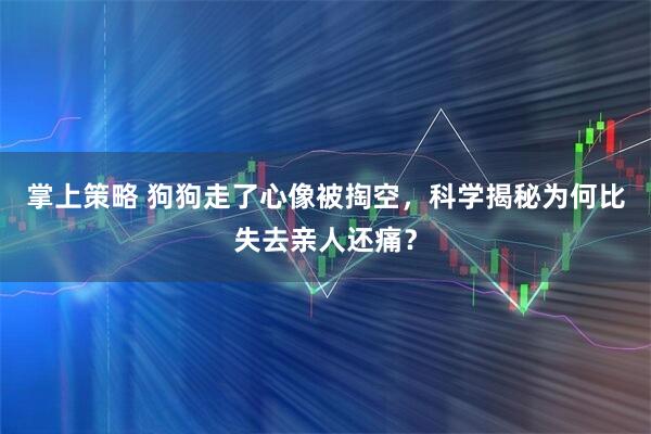 掌上策略 狗狗走了心像被掏空，科学揭秘为何比失去亲人还痛？