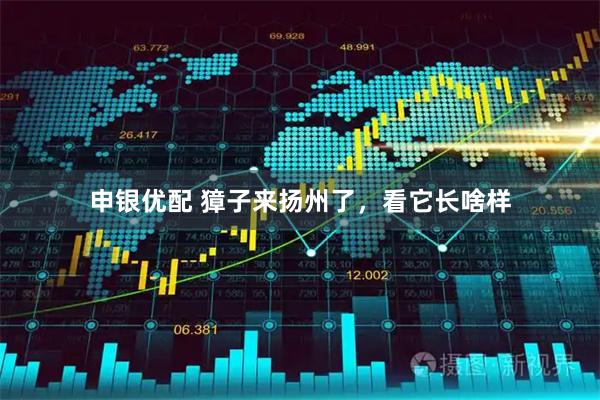 申银优配 獐子来扬州了，看它长啥样