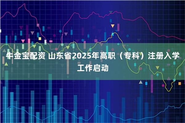 牛金宝配资 山东省2025年高职（专科）注册入学工作启动