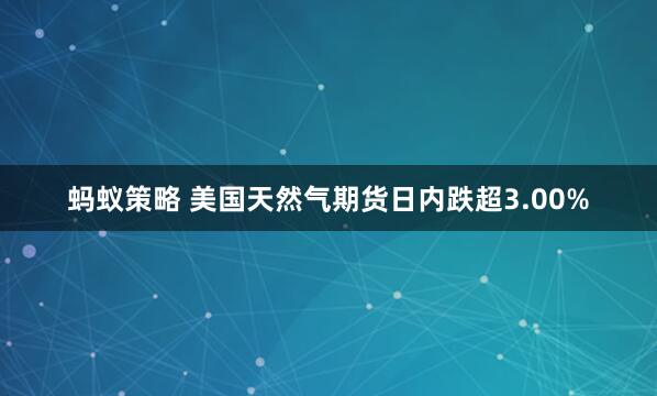 蚂蚁策略 美国天然气期货日内跌超3.00%