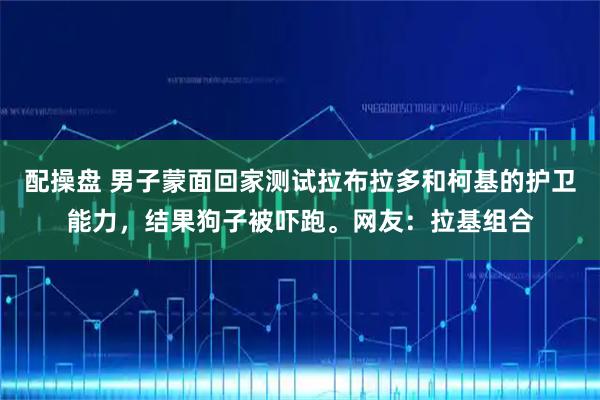 配操盘 男子蒙面回家测试拉布拉多和柯基的护卫能力，结果狗子被吓跑。网友：拉基组合