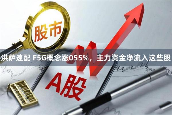 洪萨速配 F5G概念涨055%,主力资金净流入这些股