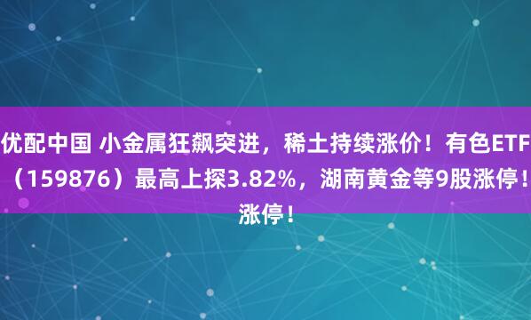 优配中国 小金属狂飙突进,稀土持续涨价!有色ETF(159876)最高上探3.82%,湖南黄金等9股涨停!